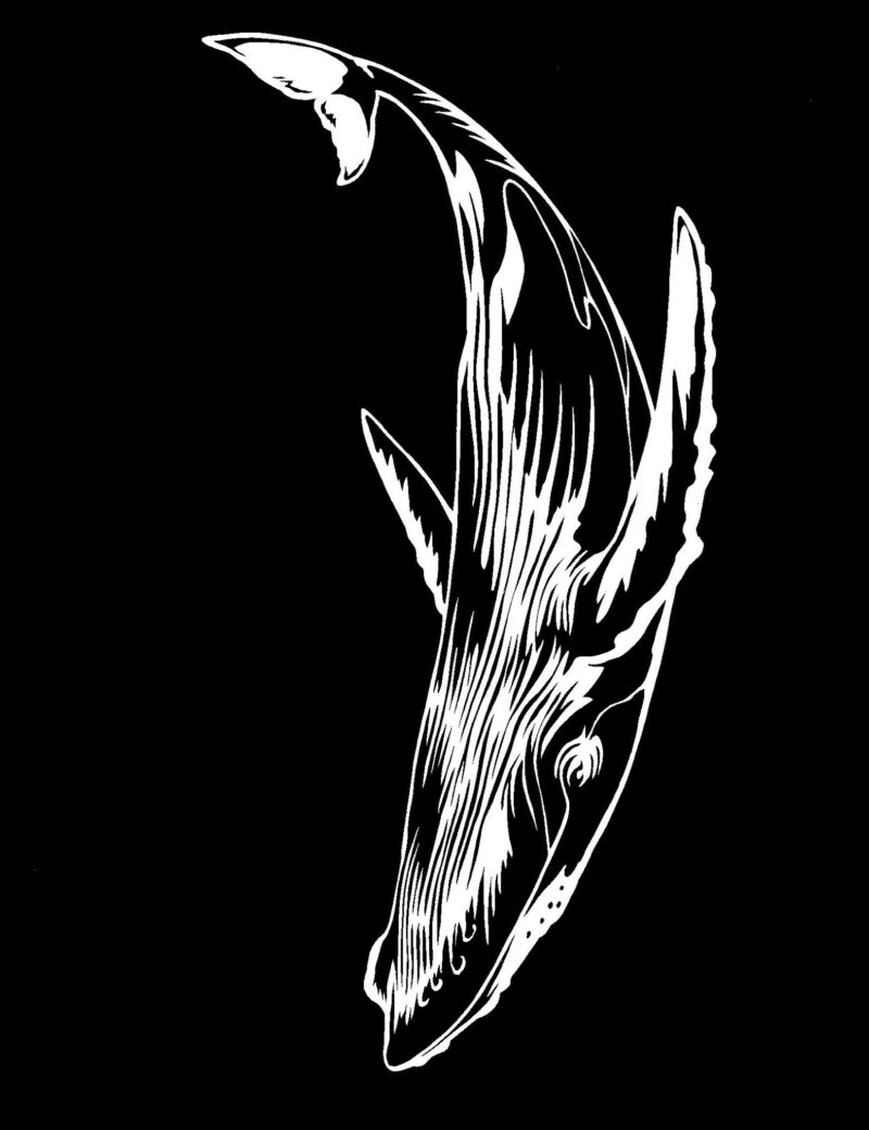 Image for the Tweet beginning: ｵﾊﾖｰｺﾞｻﾞｲﾏｰｽ 