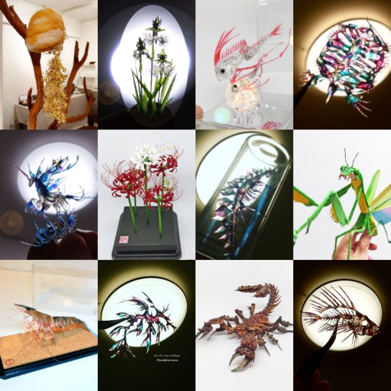 Image for the Tweet beginning: ✨2026年の予定（現時点）✨
2/21・22（土日）：京都（東山）
3/2～8（火～日）：東京（神保町）
5/23・24日（土日）：DF63
7/19・20（日月）：東京※
10月上旬：東京（原宿）
※当選の場合

ざっくりですが上記予定です♪
来年以降は出展型イベントを減らして
個展など自主企画をメインにします！ 